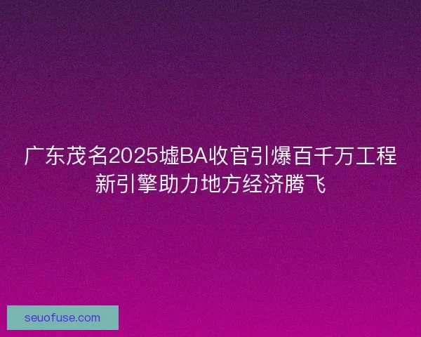 广东茂名2025墟BA收官引爆百千万工程新引擎助力地方经济腾飞
