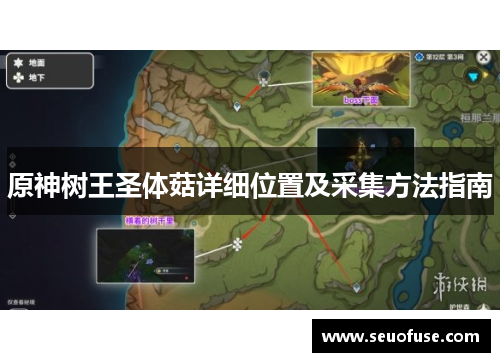 原神树王圣体菇详细位置及采集方法指南