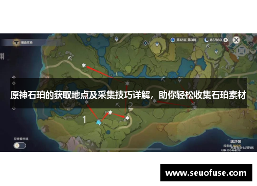 原神石珀的获取地点及采集技巧详解，助你轻松收集石珀素材